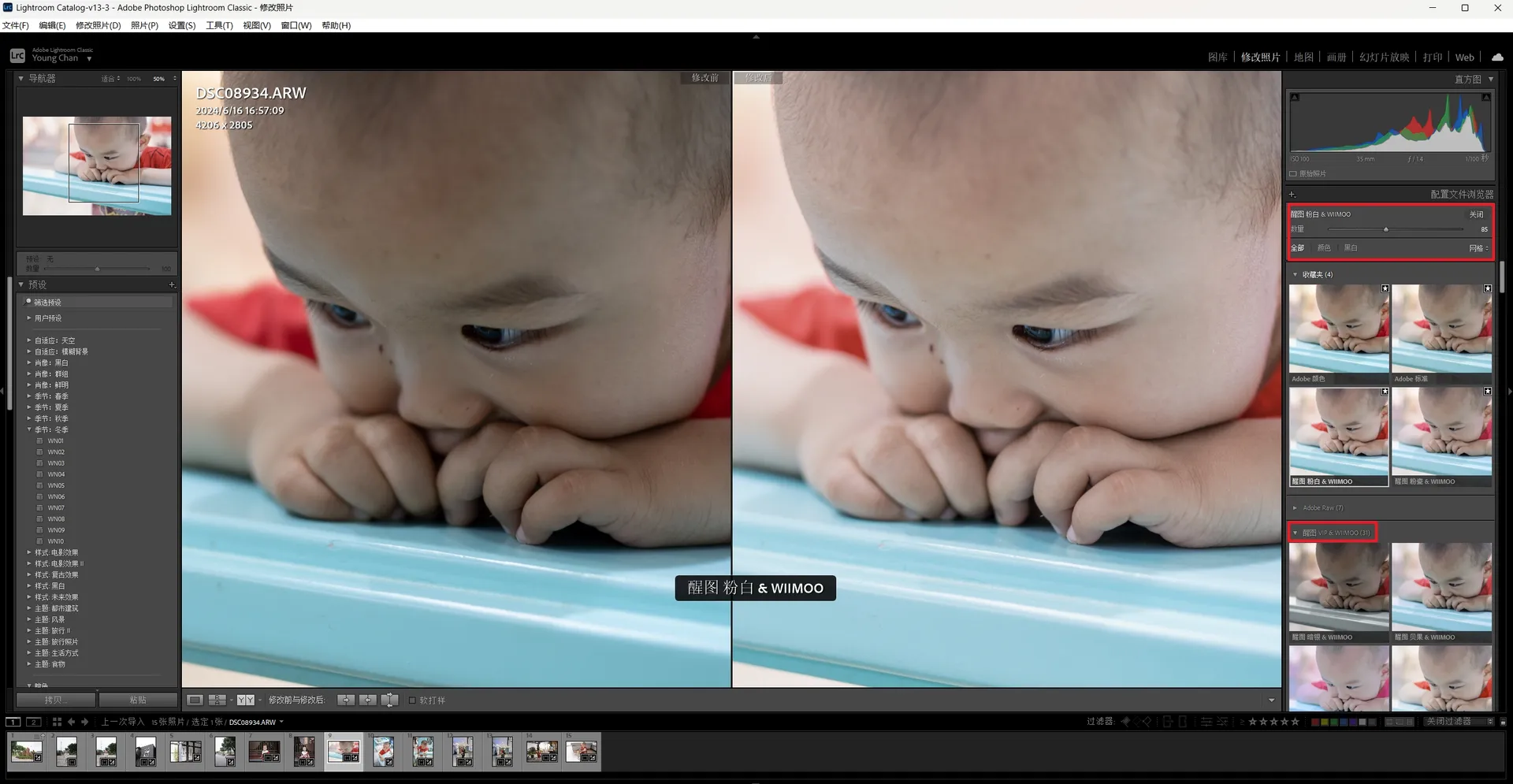 Adobe Lightroom/CameraRAW 醒图预设配置（醒图滤镜电脑版）200+款插图